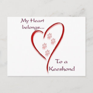 Keeshond Heart-Tillhör Vykort
