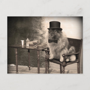 Keeshond-herrans eftermiddag vykort