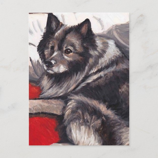 Keeshond Hund Art-vykort Vykort (Framsida)