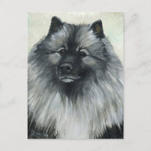 "Keeshond" Hund Art-vykort Vykort