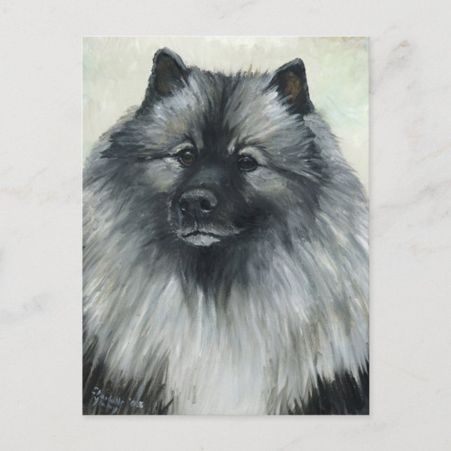 "Keeshond" Hund Art-vykort Vykort (Framsida)