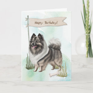 Keeshond Hund aveln utomhus under födelsedagstecke Kort