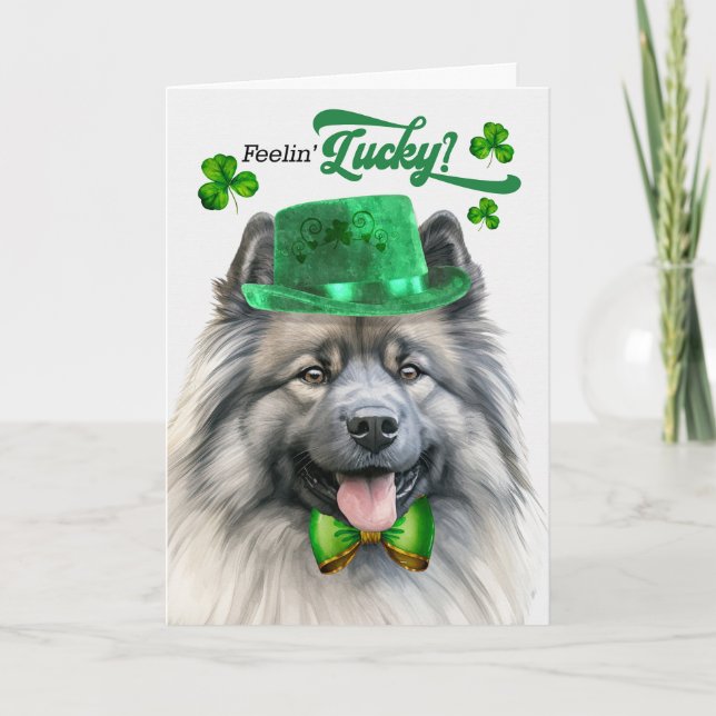 Keeshond Hund Feelin'Lucky St patrick's day Helgkort (Framsida)