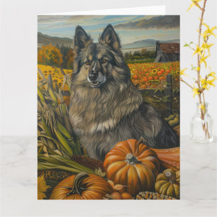 Keeshond Hund Höstskörd Tacksägelse Kort