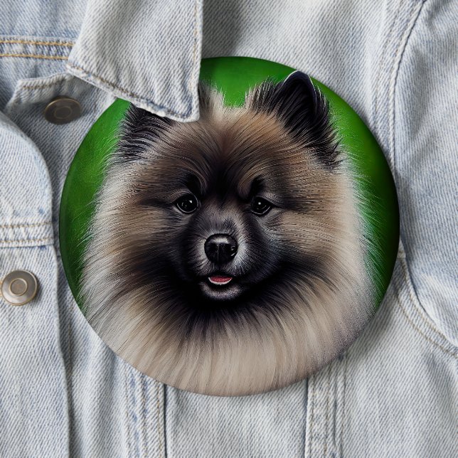Keeshond Hund i St. Patrick Dress Knapp (In Situ)