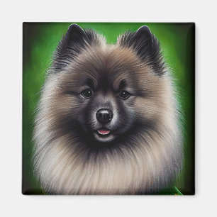 Keeshond Hund i St. Patrick Dress Magnet