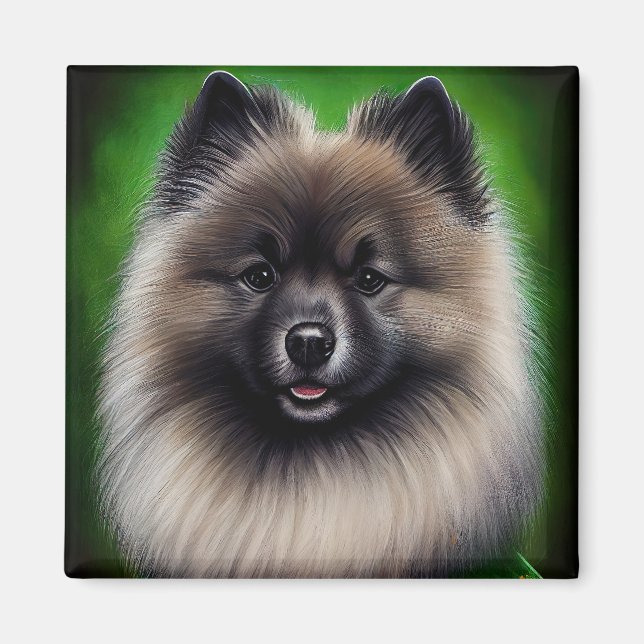 Keeshond Hund i St. Patrick Dress Magnet (Framsidan)