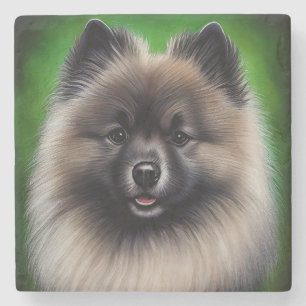 Keeshond Hund i St. Patrick Dress Stenunderlägg