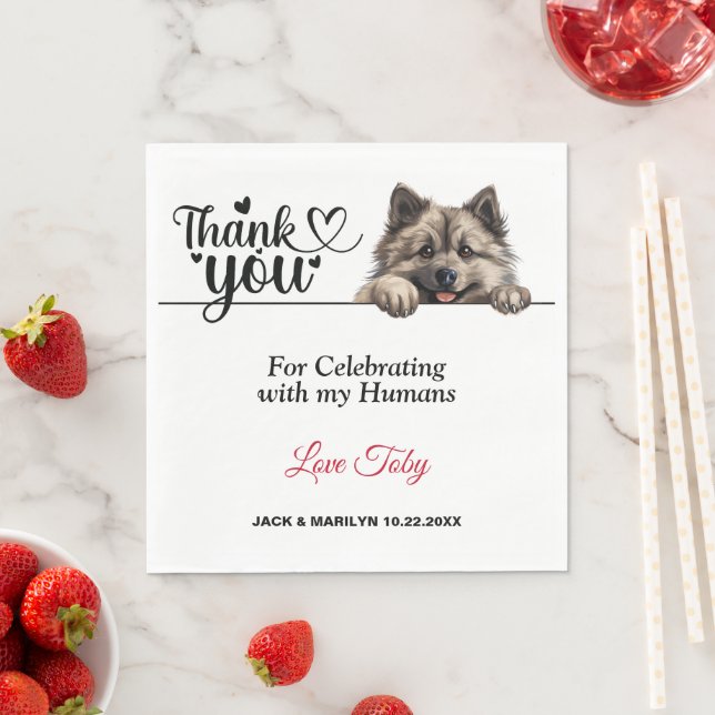 Keeshond Hund Pappersservett (Insitu)