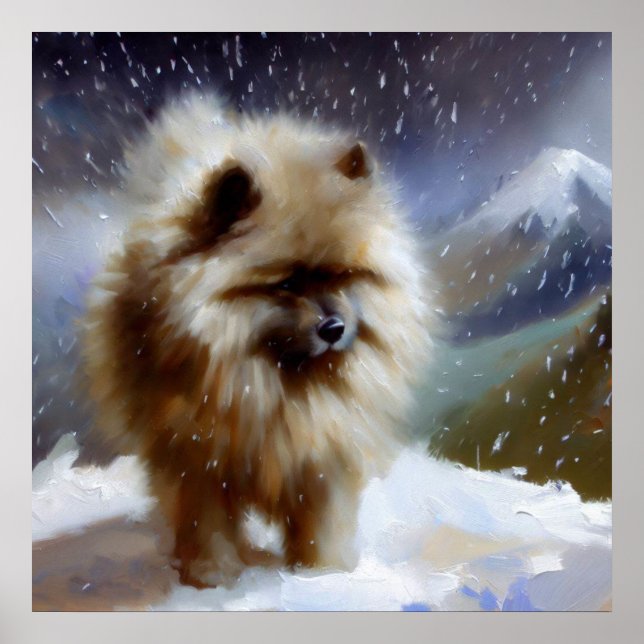 Keeshond Hund Poster (Framsidan)