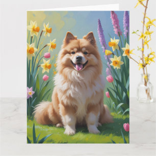 Keeshond Hund Vårblommor Målning Kort