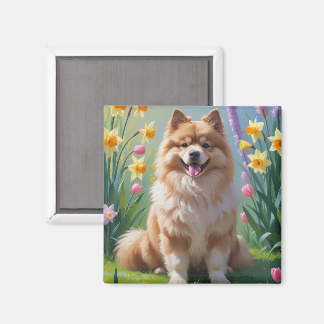 Keeshond Hund Vårblommor Målning  Magnet (Front/Back)