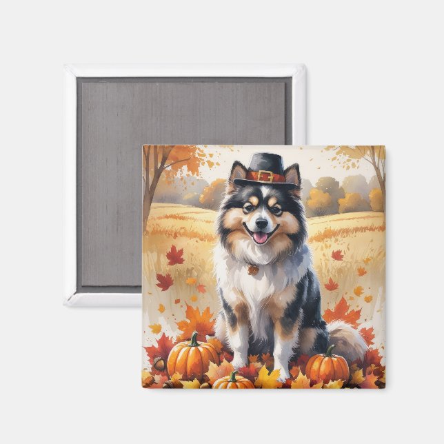Keeshond i höstlöv tackgivande konst magnet (Front/Back)