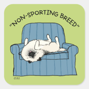 Keeshond, icke-Sport-ras   Funny Keesie Hund Fyrkantigt Klistermärke