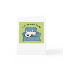 Keeshond ’Icke-Sport-ras’