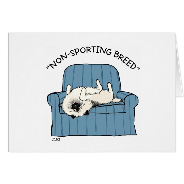 Keeshond ’Icke-Sport-ras’ OBS Kort (Framsidan Horizontal)