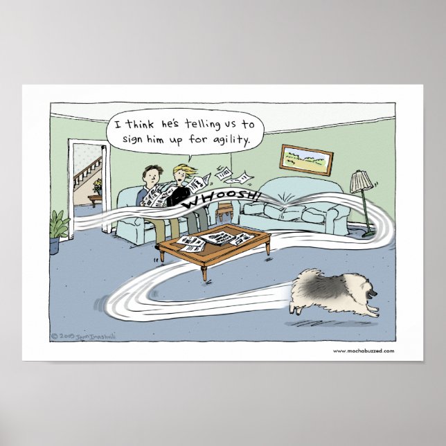 Keeshond "Livingroom Agilia" Poster (Framsidan)