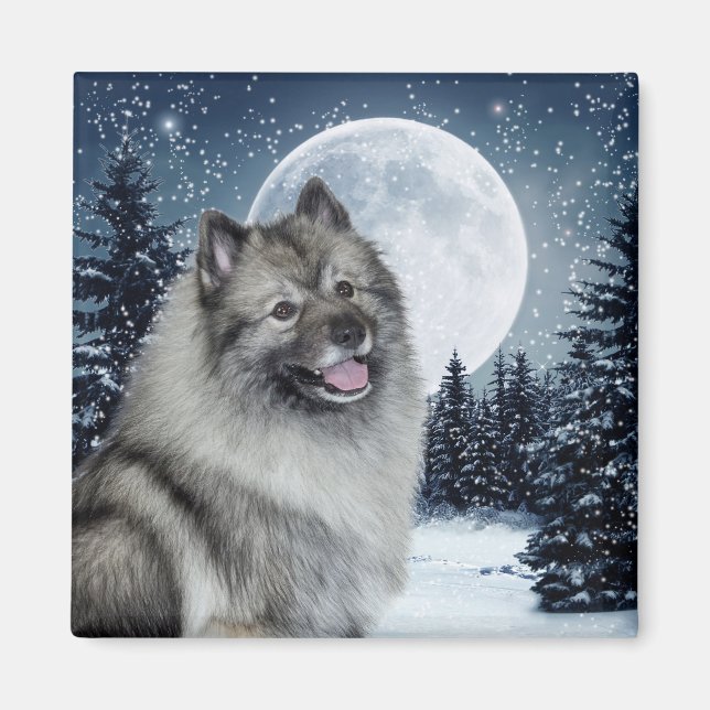 Keeshond Magnet (Framsidan)