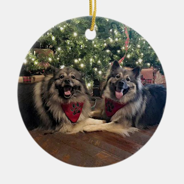 Keeshond med julgranen julgransprydnad keramik (Framsidan)