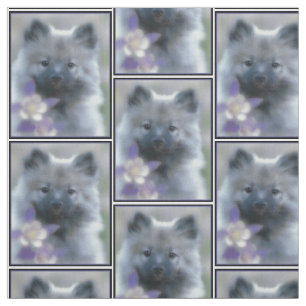 Keeshond och Columbine - fotografi av Hund Tyg