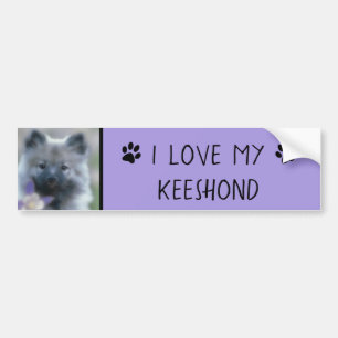 Keeshond och Columbine - Hund Photograph Bildekal