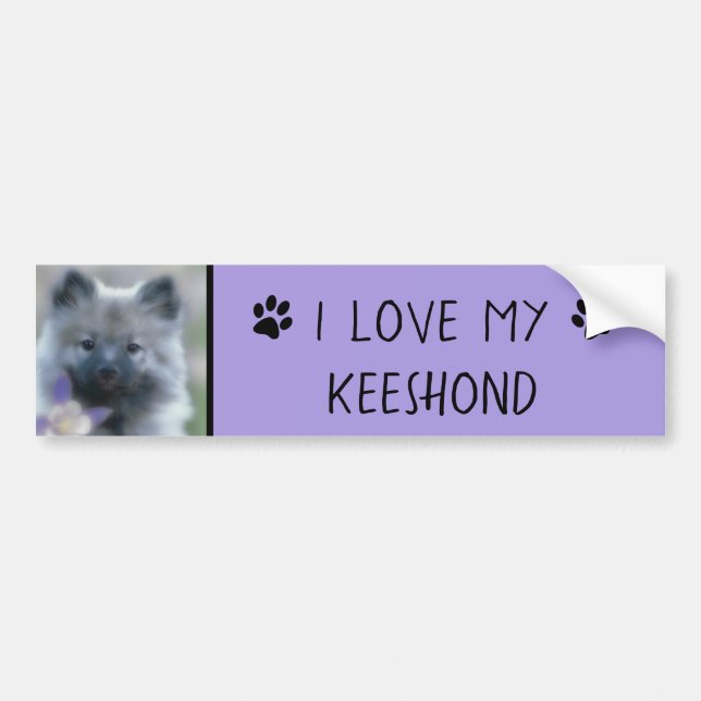 Keeshond och Columbine - Hund Photograph Bildekal (Framsidan)