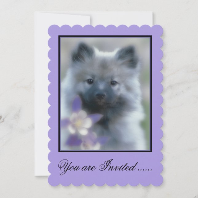 Keeshond och Columbine - Hund Photograph Inbjudningar (Framsida)
