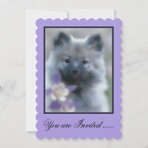 Keeshond och Columbine - Hund Photograph Inbjudningar