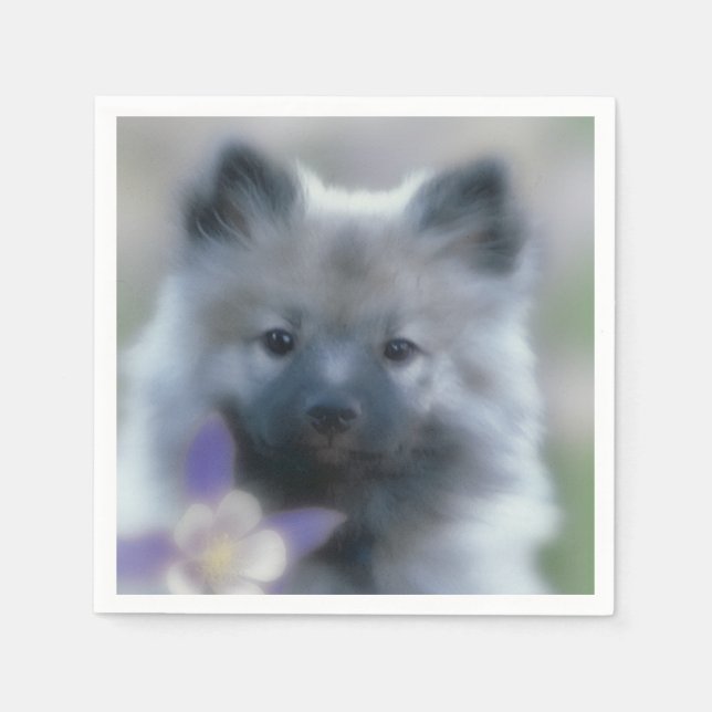 Keeshond och Columbine - Hund Photograph Pappersservett (Framsidan)