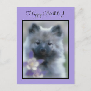 Keeshond och Columbine - Hund Photograph Vykort