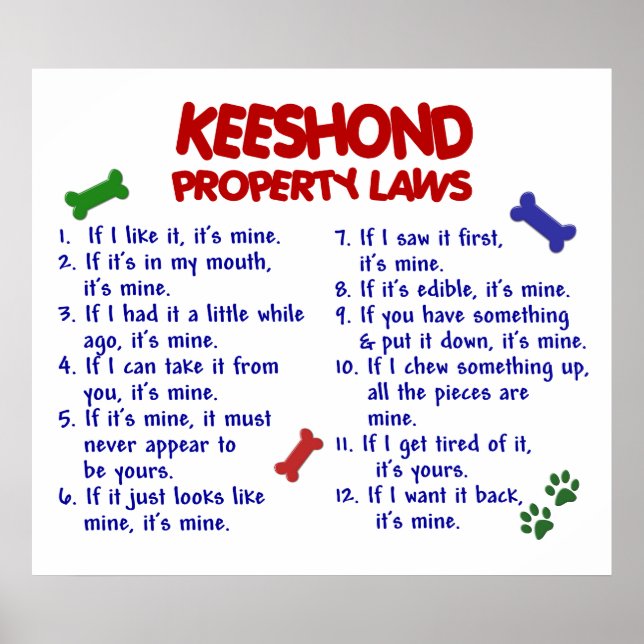 KEESHOND PL2 POSTER (Framsidan)