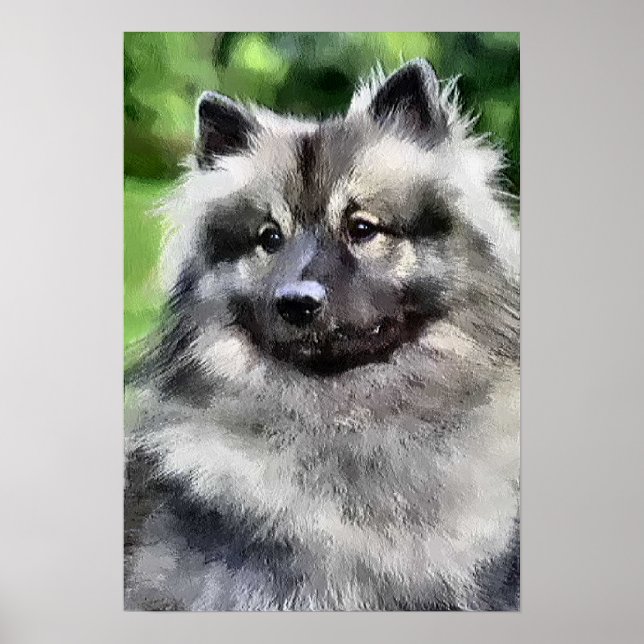 Keeshond presenterar konstnärliga utskrifter poster (Framsidan)