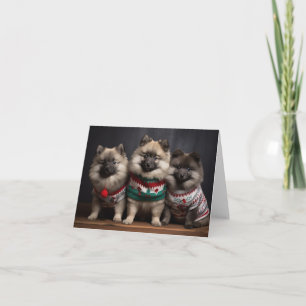 Keeshond Puppies-julkort Kort