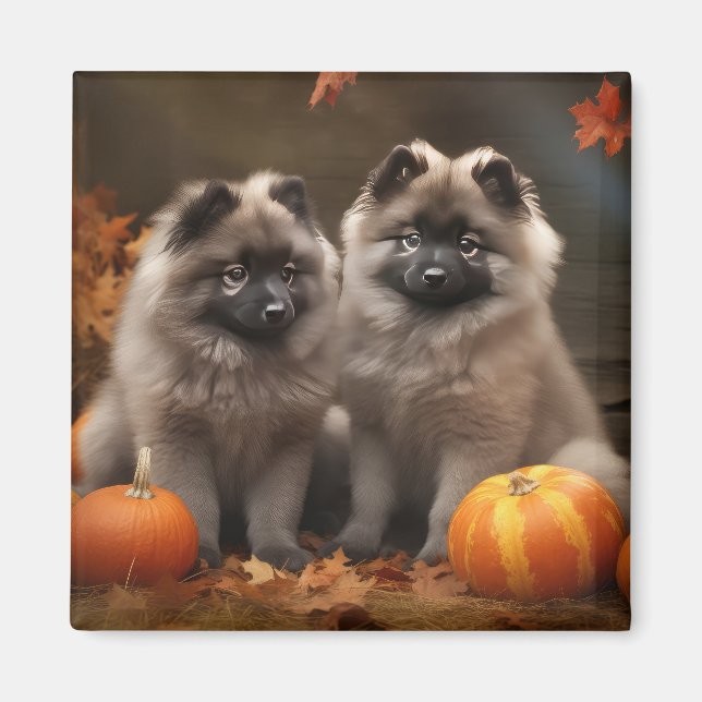 Keeshond Puppy Autumn Delight Pumpkin Magnet (Framsidan)