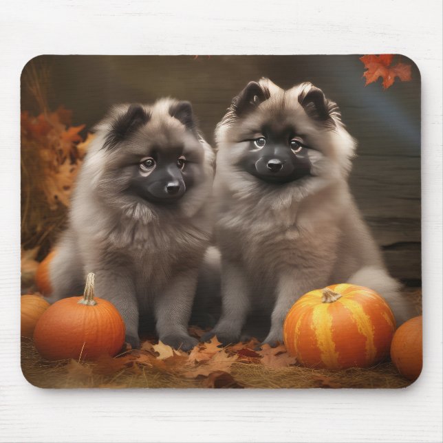 Keeshond Puppy Autumn Delight Pumpkin Musmatta (Framsidan)