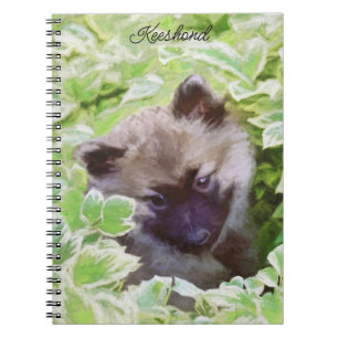 Keeshond Puppy i Garden Painting Original Art Anteckningsbok