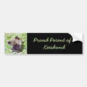 Keeshond Puppy i Garden Painting Original Art Bildekal