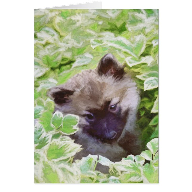 Keeshond Puppy i Garden Painting Original Art Hälsningskort (Framsidan)