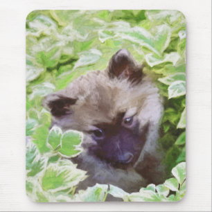Keeshond Puppy i Garden Painting Original Art Musmatta