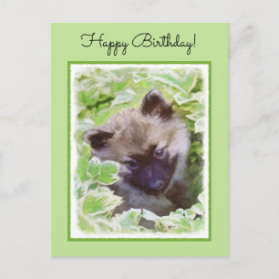 Keeshond Puppy i Garden Painting Original Art Vykort
