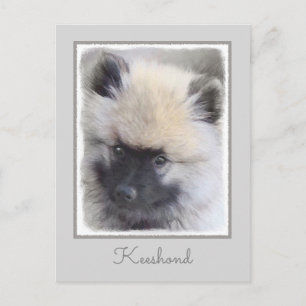 Keeshond Puppy Painting - Cute Original Hund Art Vykort