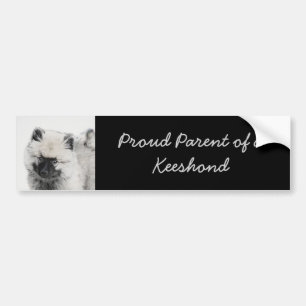 Keeshond Puppy Teckning - Cute Original Hund Art Bildekal