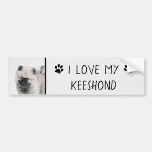 Keeshond Puppy Teckning - Cute Original Hund Art Bildekal