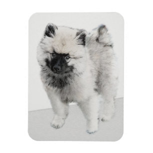 Keeshond Puppy Teckning - Cute Original Hund Art Magnet