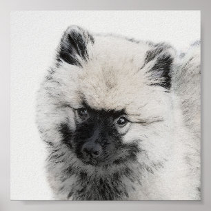 Keeshond Puppy Teckning - Cute Original Hund Art Poster