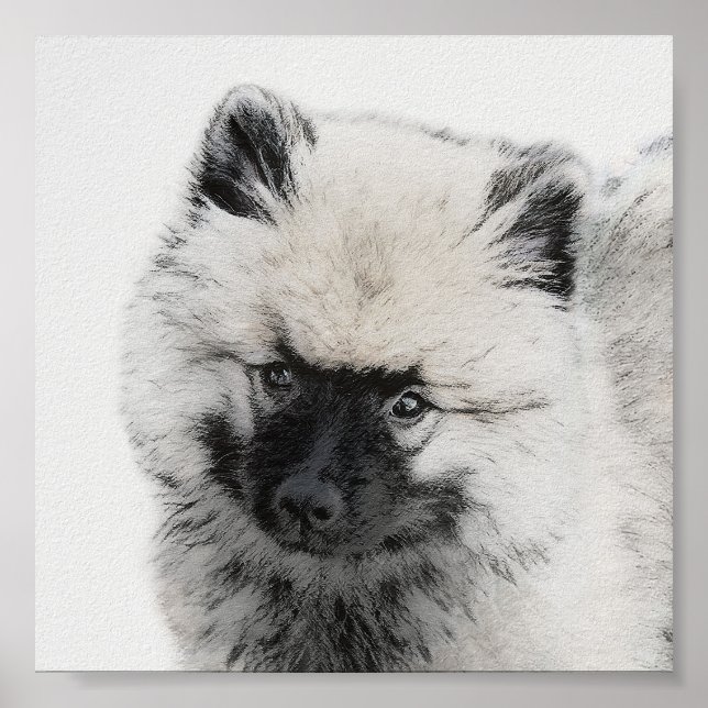 Keeshond Puppy Teckning - Cute Original Hund Art Poster (Framsidan)