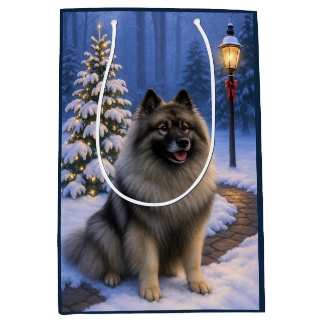 Keeshond Semester  (Framsidan)