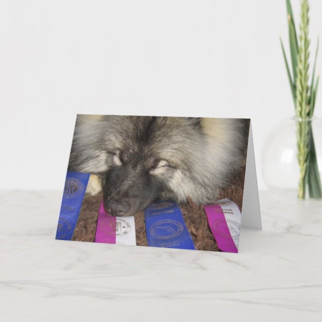 Keeshond Show Puppy Kort (Framsida)
