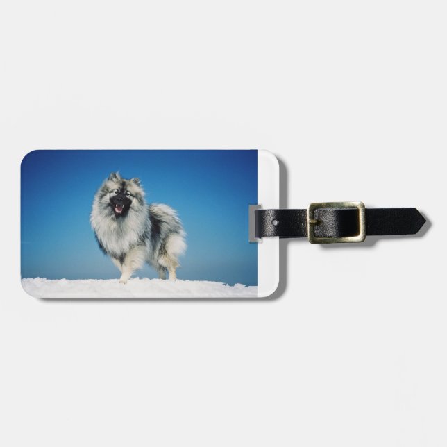 keeshond som är full i snow.png bagagebricka (Horisontell Framsida)