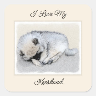 Keeshond Spip Puppy Painting Original Hund Art Fyrkantigt Klistermärke